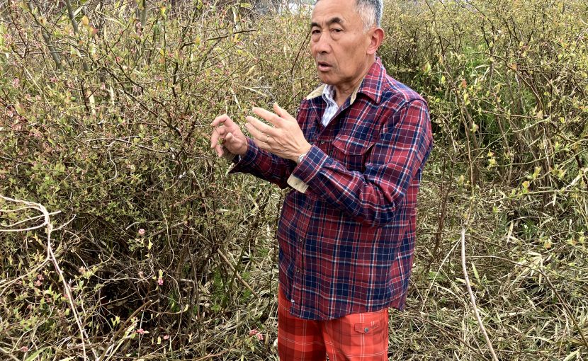 東京からの移住者